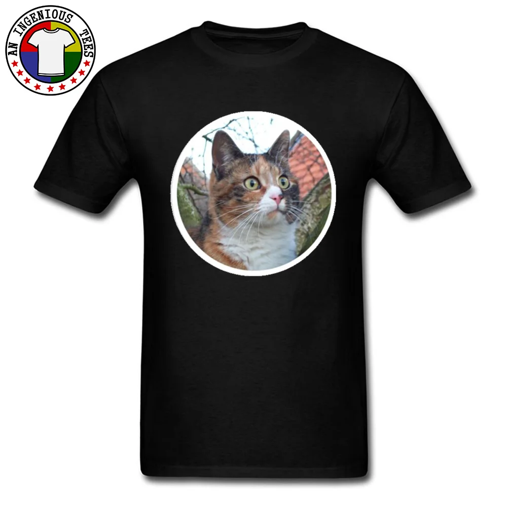 Beautiful Calico Cat New Design Short Sleeve Normal T-Shirt 100% Cotton Crewneck Men Tops Shirts Comics Sweatshirts Summer Fall Beautiful Calico Cat black