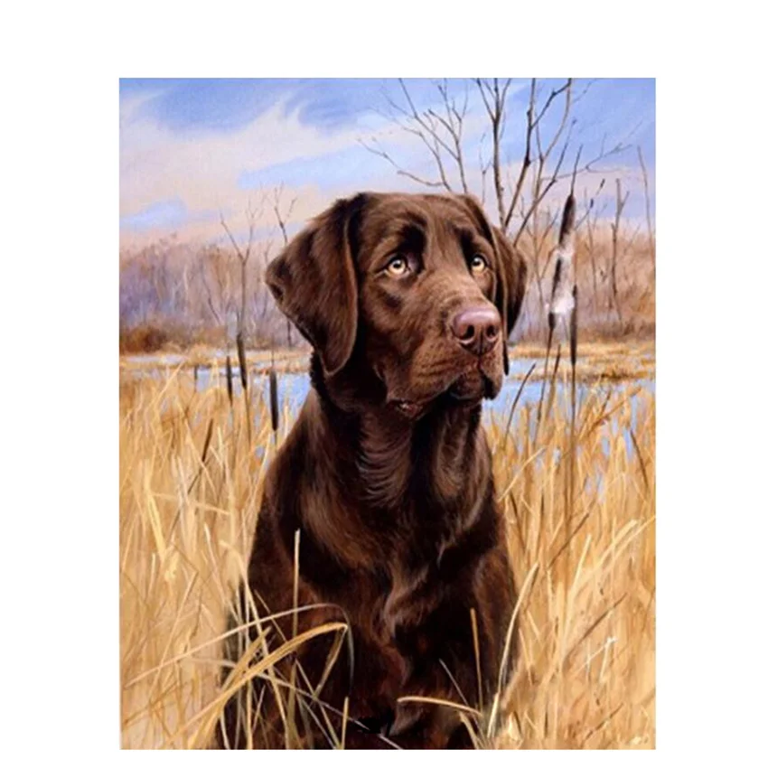

DIY Digital Painting By Numbers Package Labrador retriever oil painting mural Kits Coloring Wall Art Picture Gift frameless