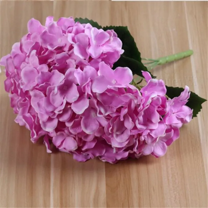 Rose1