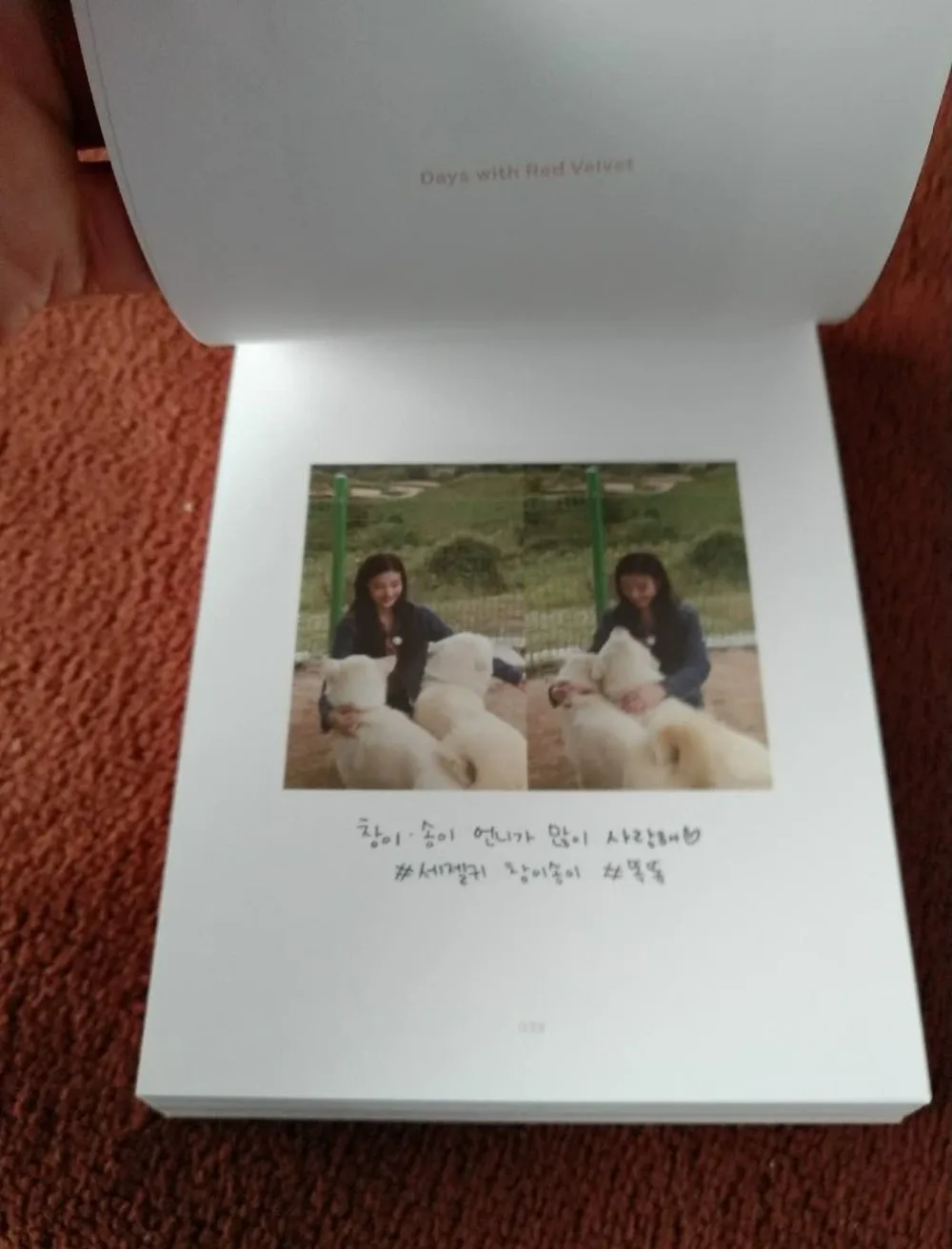 RED VELVET   SELFIE BOOK RED VELVET 2