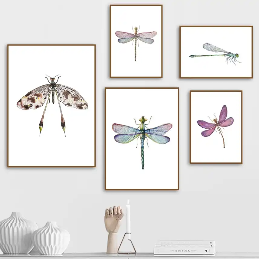 C Home Decor Wall Art Poster Dragonfly Insects It Is Art/Canvas Print C Home Decor Wall Art Poster Dragonfly Insects It Is Art/Canvas Print