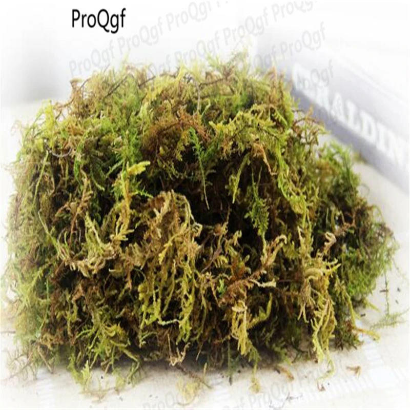 300gram a set Orchid Flower Mossin Plant Food from Home & Garden on