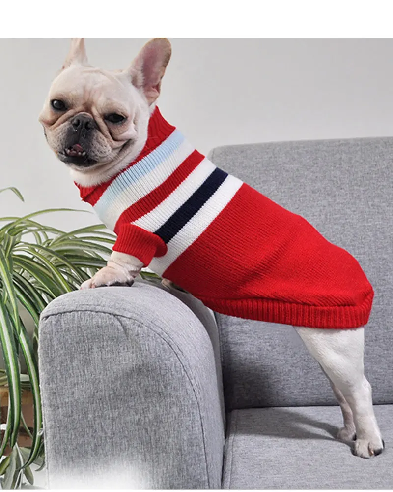 clothes french bulldog