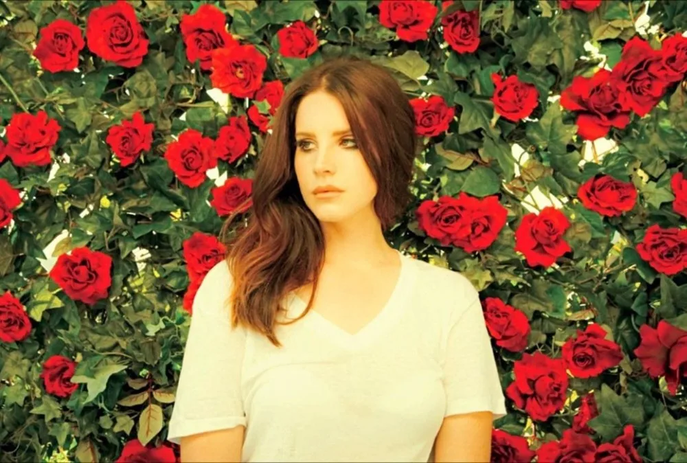 Home Decor Lana Del Rey Music Star 3-Silk Art Poster Wall Sicker Decoration Gift