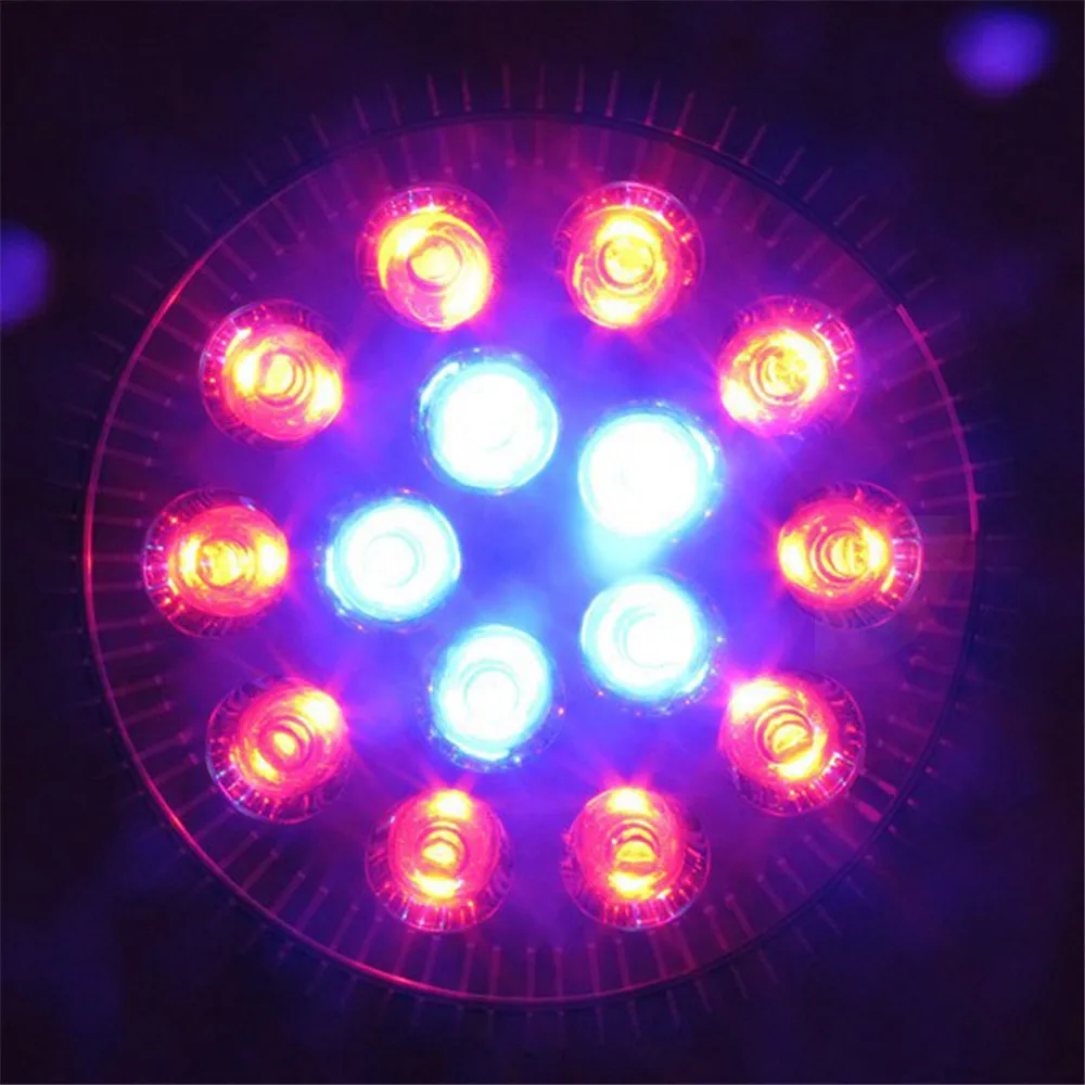 45W LED Grow Light (10)
