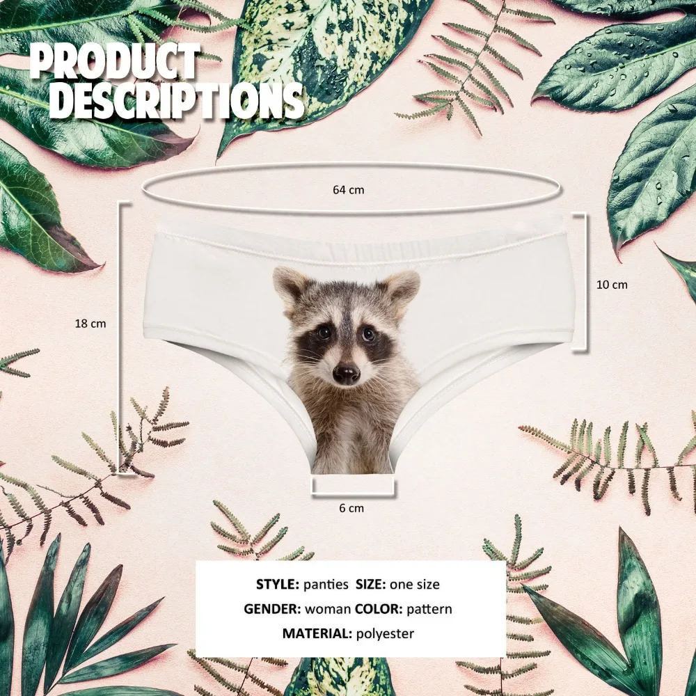 55021 RACOON (00)