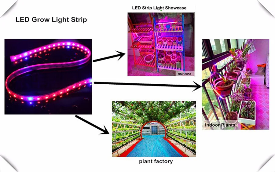 Светодио дный завод растут 1 м 2 м 3 м 4 м 5 м SMD 5050 DC12V гибкие светодио дный расти полосы света для парниковых гидропоники завод овощной