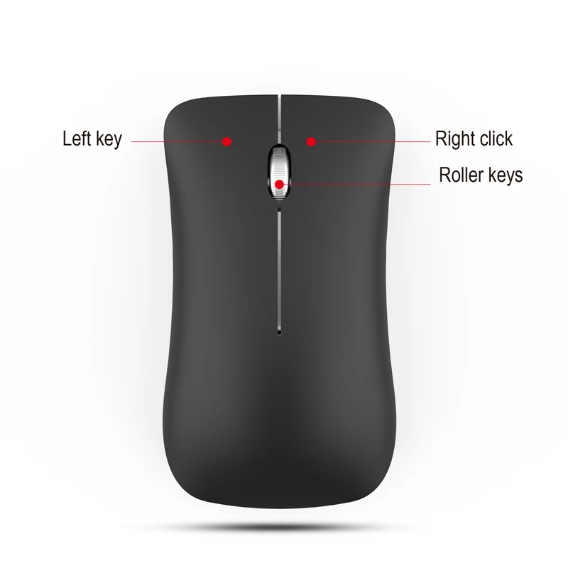 3 Due model mouse