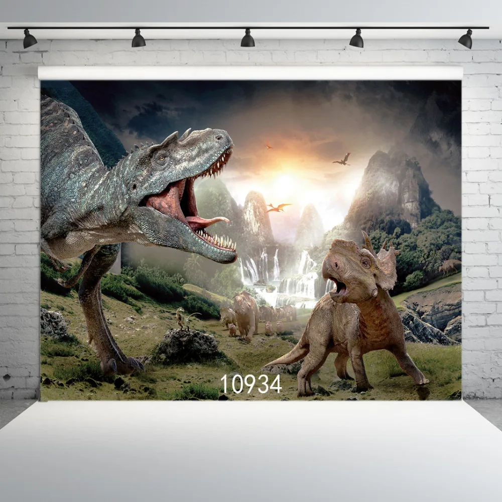 SJOLOON dinosaur vinyl photography background children photography