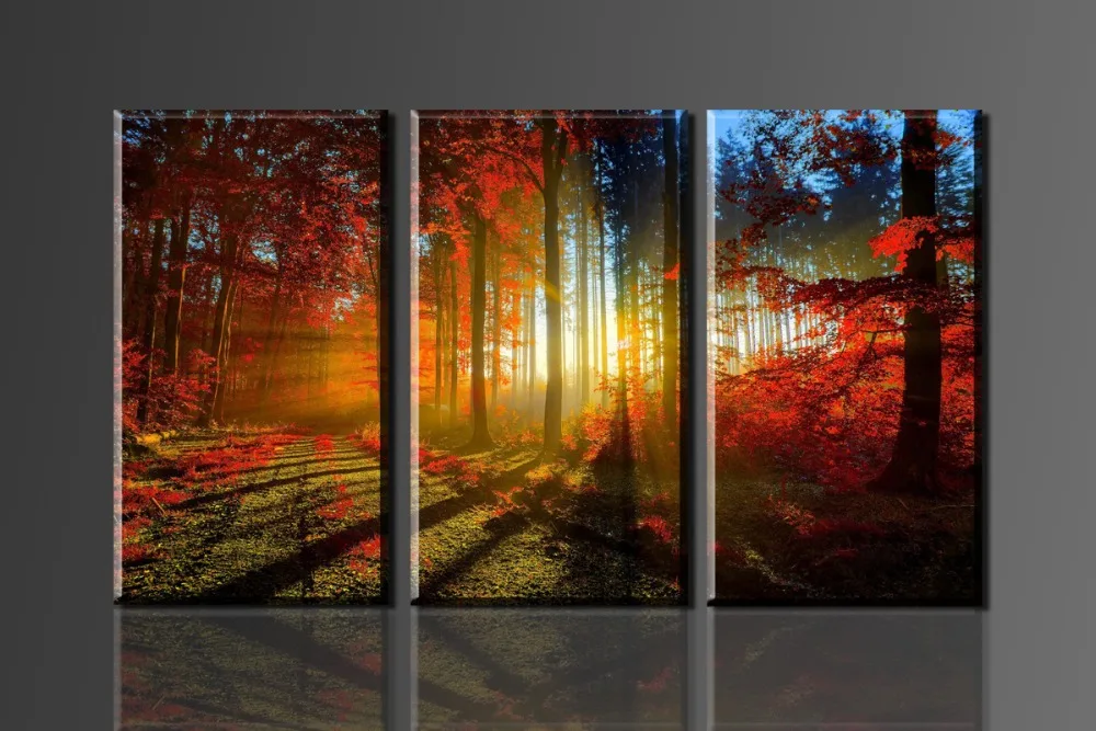 

Red maple leaves in the woods and sun, 3 Panels/Set HD picture Canvas Print Painting Artwork, Wall decorative painting
