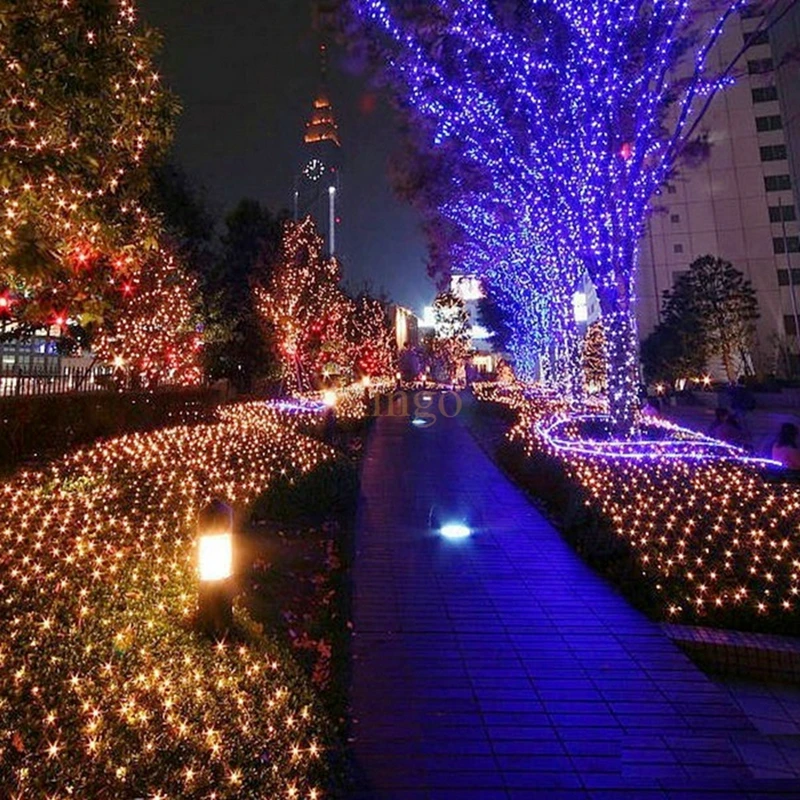 led light string

