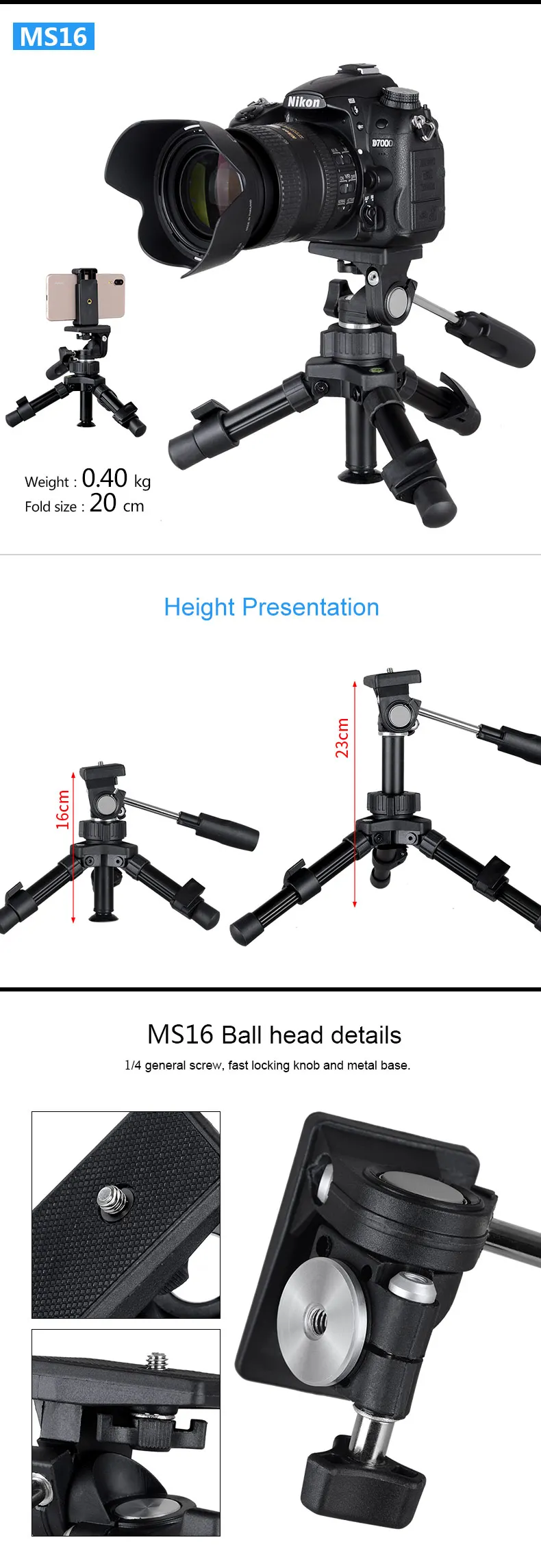 MS02MS16_04