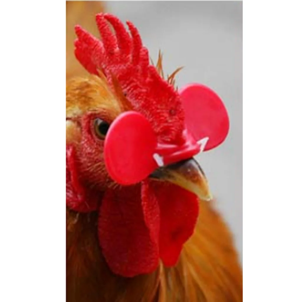 1000 Pairs Red Poultry Hen Chicken Eye Glasses Protector Blinders with Pins