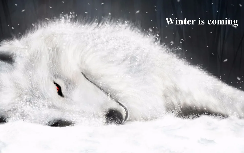 L#&amp178 Custom wolf animal Home Decor modern For Bedroom Wall Poster Size 27x40cm Sticker Q#178yy | Дом и сад
