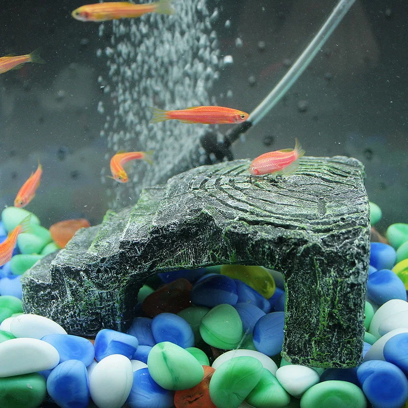 Turtles Pier Resting Platform Fish Tank Topper Reptology Dock Above