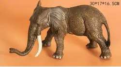 Моделирование слон статический Пластик игрушки около 30x17x16 см Модель Материал познания модель детские игрушки подарок w0991
