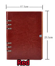 diary planner 2015  (4)