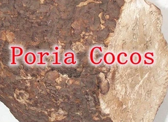 300Counts X Poria Cocos Extract/Indian Buead Extract/Tuckahoe Extract/30% Polysaccharide 500mg Capsule free shipping |
