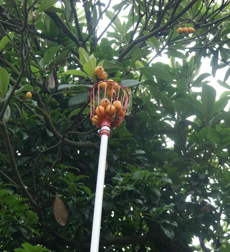 

Garden Hardw Outdoor Aluminum Deep Basket Garden Tool Fruit Picker Head Metal Fruit Picking Tools Fruits Catcher Harvest Picking