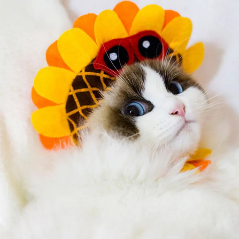 china cat sunflower costume china cat sunflower costume