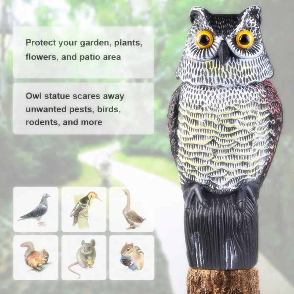 owl decoy (10)