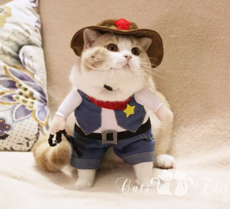 Популярные Стиль Pet Cat Костюм Смешной Запад Ковбой Собака Одежда Kitty Костюм Одежда С hat D84