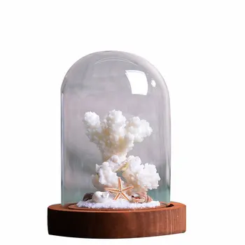 

Nordic Aesthetic Eternal Rose Glass Micro Landscape Decor Wooden Bottom Glass Covers Valentine'S Day Home Decoration Accessories