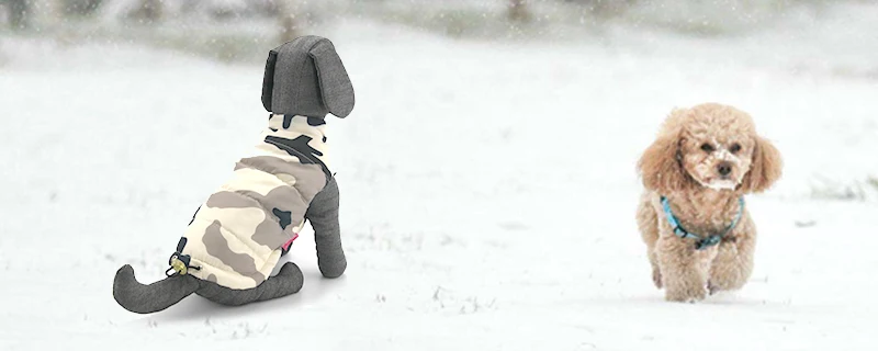 PETASIA New Double-sided Wear Dog Winter Clothes (29)