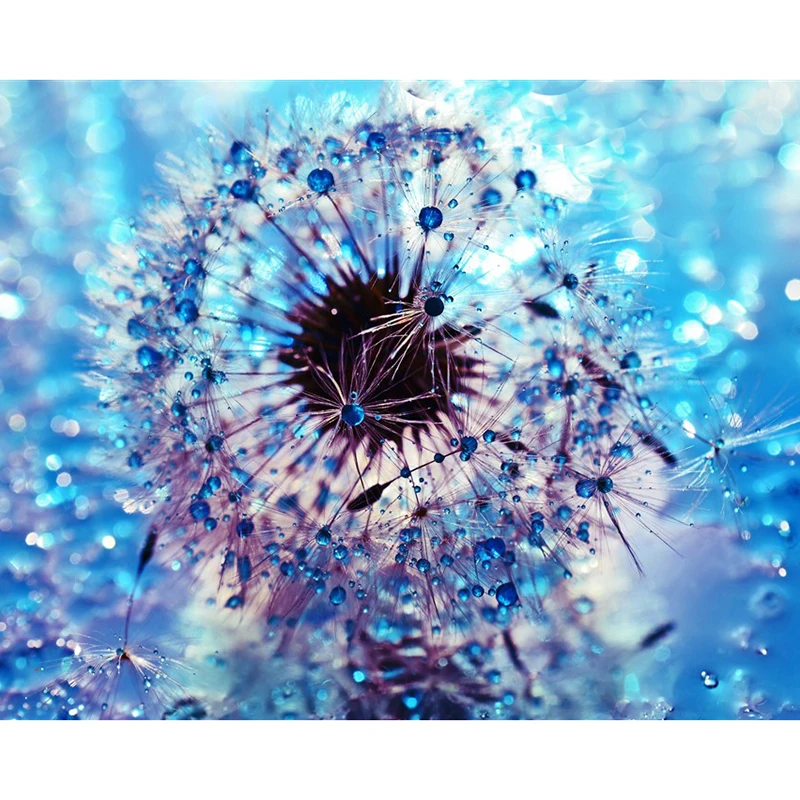 

Full,Diamond Embroidery,5D,Diamond Painting dandelion 3d pictures,image,Stitch Cross,3D,Diamond Mosaic,Needlework,Crafts,gifts