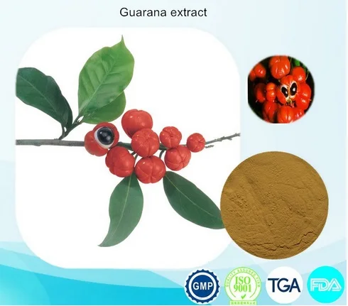 1KG High quality best price Guarana Extract Powder 10% caffeine Free shipping spot supply of quality echinacea extract extract powder concentrated powder cheap high quality low price guarantee