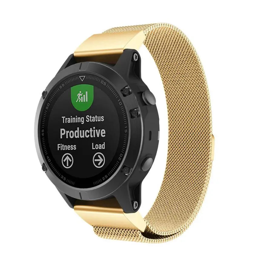 garmin fenix strap loop