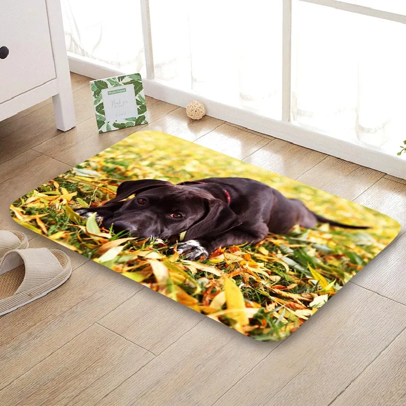

Custom Cane Corso Funy Doormat Floor/Bath/Kitchen/Beach Mat Flannel Sponge Fabric 3D Printed Shaggy Decoration For Bedroom