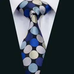 Dh-1481 Новое поступление Барри. ван моды Для мужчин галстук в горошек галстук шелк жаккард Галстуки для Для мужчин Бизнес Свадебная вечеринка