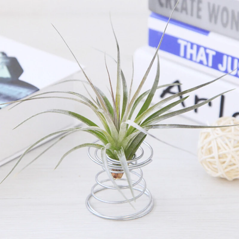 

2019 Metal Iron Spring Base Flower Stand Shelf Floor Hollow Shaped Air Plants Home Decor Balcony Flower Plant Holder
