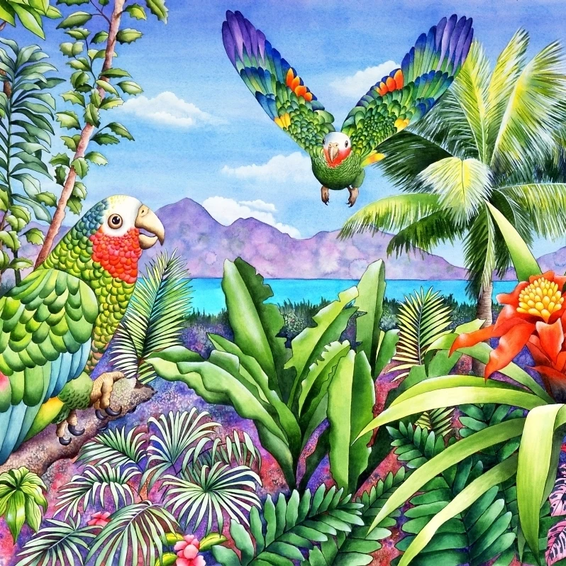 Flying Colours Poster Print by Carolyn Steele (30 x 24)