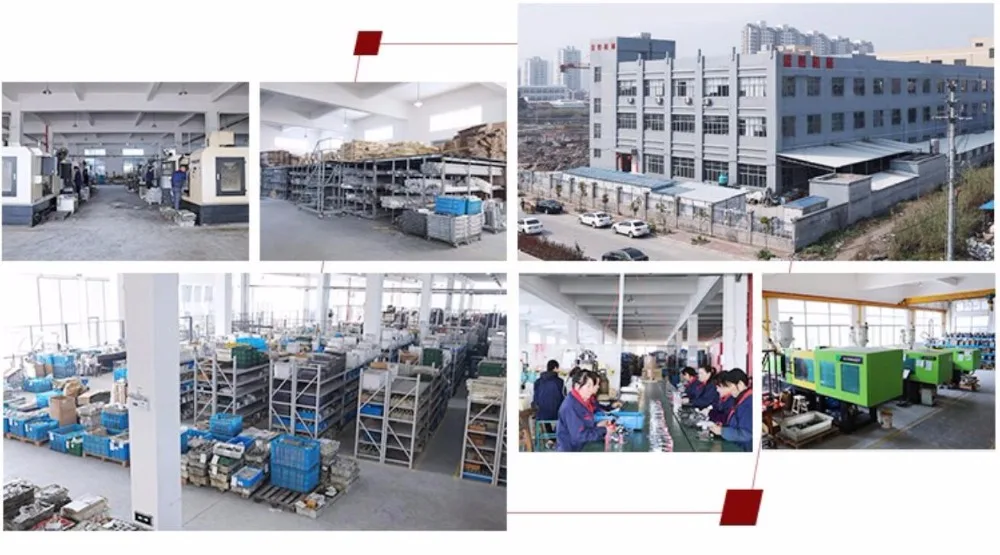 company information
