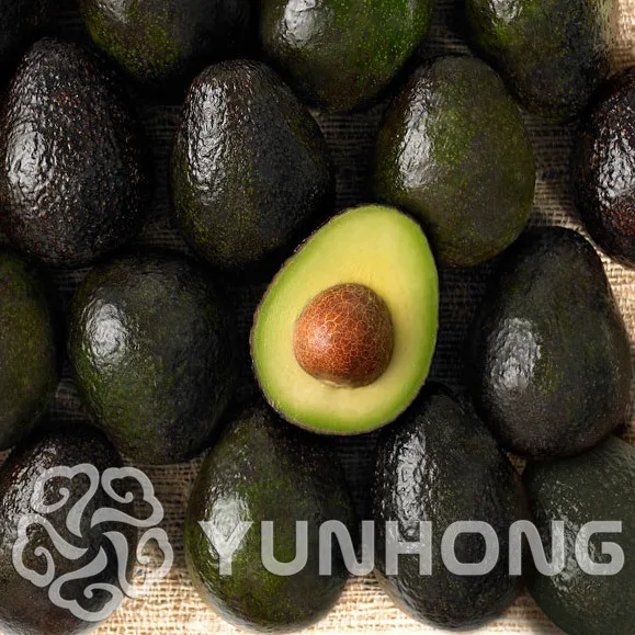 Sale Promotions 10pcs Rare Mini Avocado plant Delicious Pear Fruit plant Easy Grow For Home Garden Germ Bonsai Free Shipping
