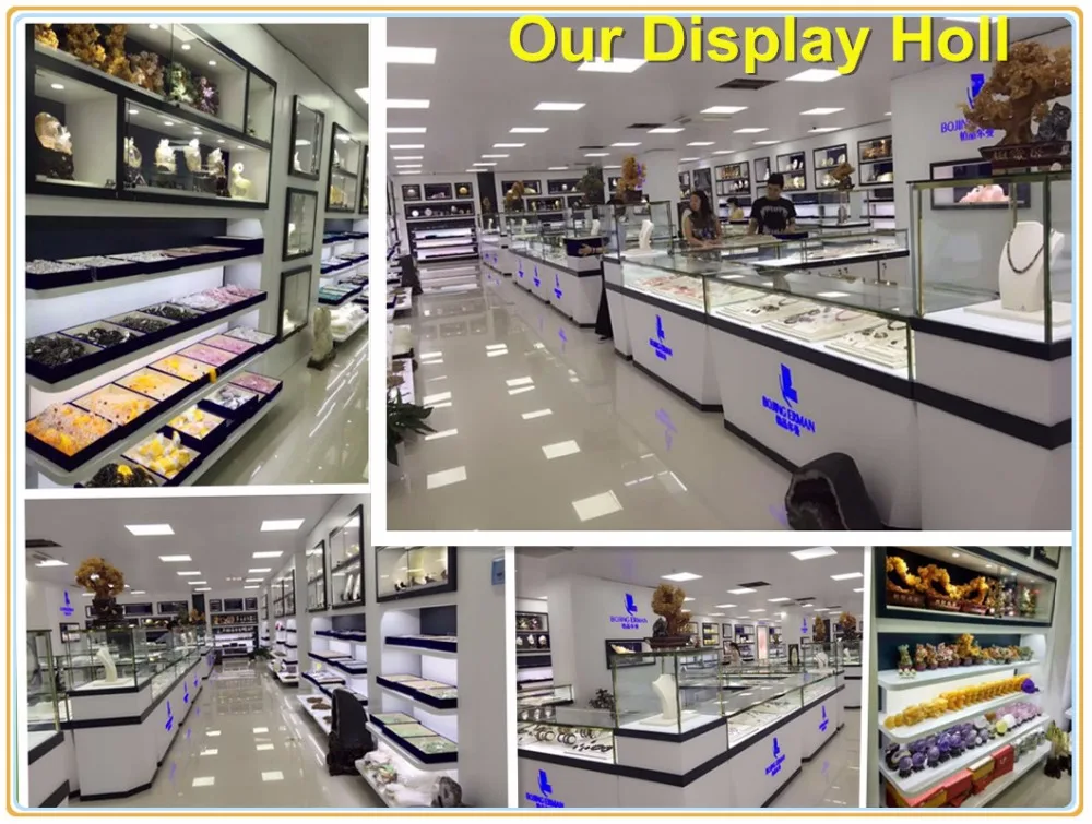 display holl 2