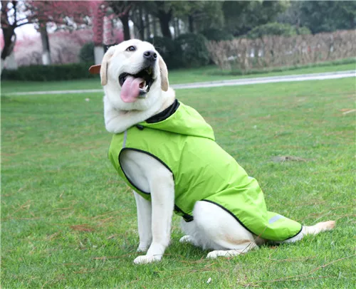 Дождевик для питомцев, Одежда для питомцев, уличная Непромокаемая ткань, внутренняя дышащая сетка, светоотражающая полоска для щенков, одежда для больших собак - Цвет: green