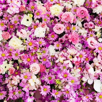 

HUAYI Art Fabric Beautiful Flowers Pattern Backdrop Photography Portrait For Studios Newborn D-9126