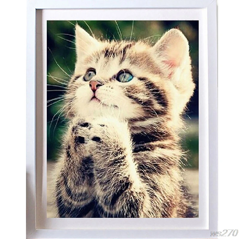 

New 25*30cm DIY 5D Naughty Kitten Cat Stitch Kit Crystal Diamond Embroidery Painting Cross Stitch Home Decor Craft W20 Drop ship