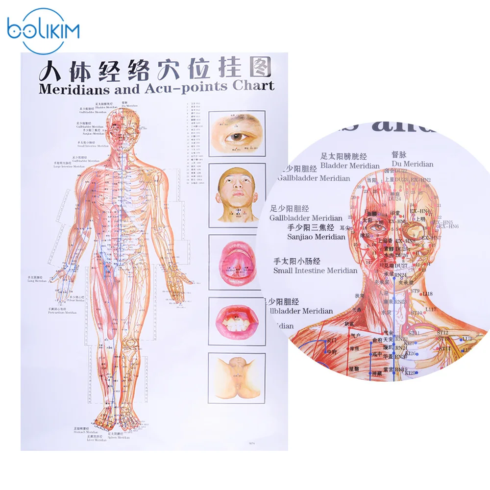 BOLIKIM 6Pcs English Hand&Foot&Ear&body Meridian points of human wall chart female /male acupuncture massage point map flipchart BOLIKIM 6Pcs English Hand&Foot&Ear&body Meridian points of human wall chart female /male acupuncture massage point map flipchart
