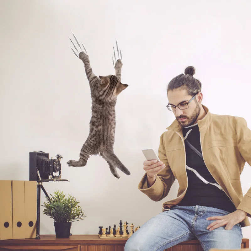 9053711243_764360284