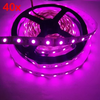 

FREE DHL 200m/lot 300LED pink color non waterproof DC 12V SMD 5050 LED strip light 60LEDs/m