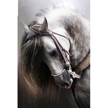 Full Square/Round Drill 5D DIY Diamond Painting Animal horse Embroidery Cross Stitch Home Decor Gift 5d 100% full square round diamond painting black africa elephants wild animal cross stitch diamond embroidery for room fs4792