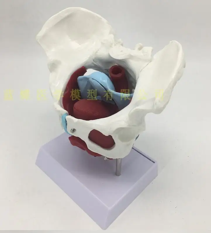 QQ20181105203638