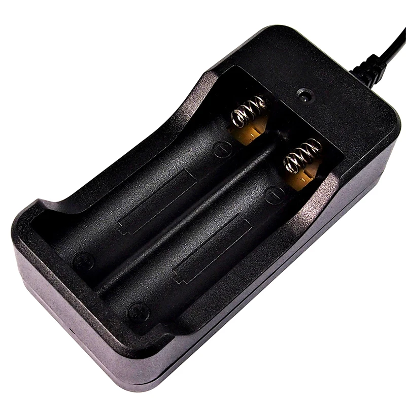2 слота AC 110V 220V двойное зарядное устройство 18650 для зарядки 4 V литий ионная