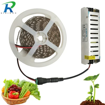 

LED Grow Light Full Spectrum DC 12V SMD 5050 Aquarium Greenhouse Plant Growing Light Waterproof Set + Power