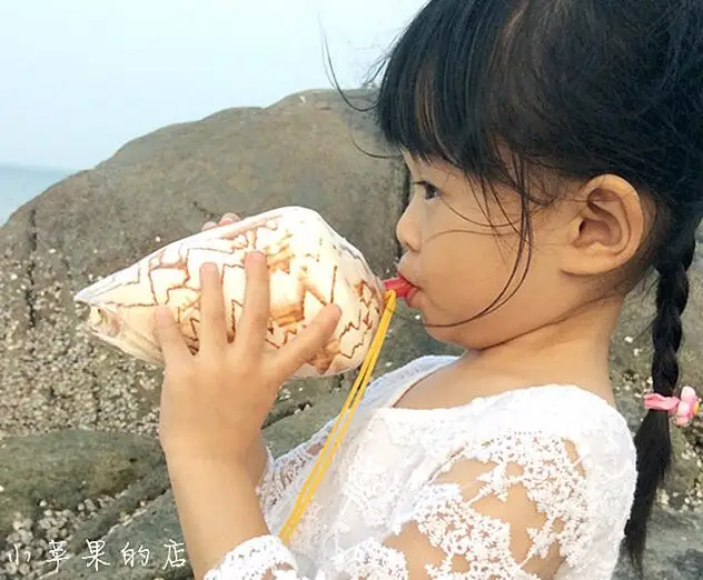 

Large natural landscape of conch shells can whistle sounded. Conch shells whistle Creative shell crafts decoration style statue