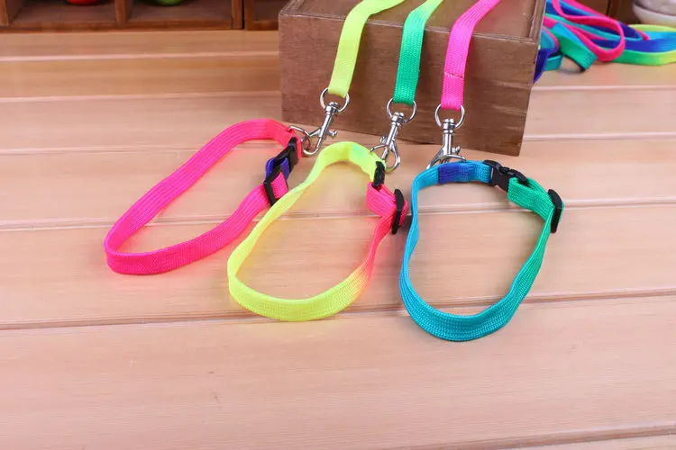 Dog leads 8
